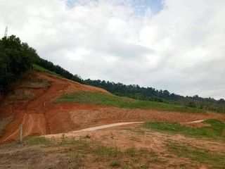ขาย ที่ดิน ใน ตะกั่วทุ่ง, พังงา