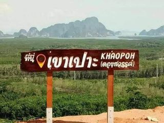 ขาย ที่ดิน ใน ตะกั่วทุ่ง, พังงา