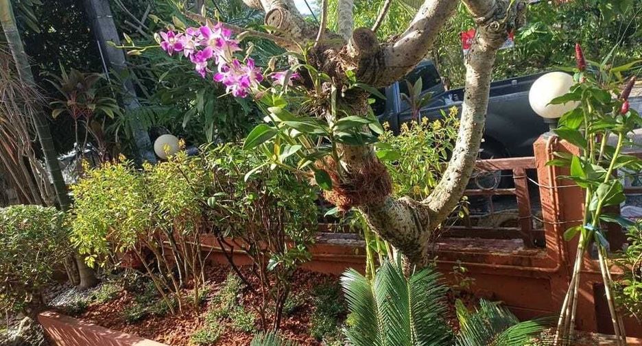 For sale and for rent 3 bedrooms house in Kathu, Phuket