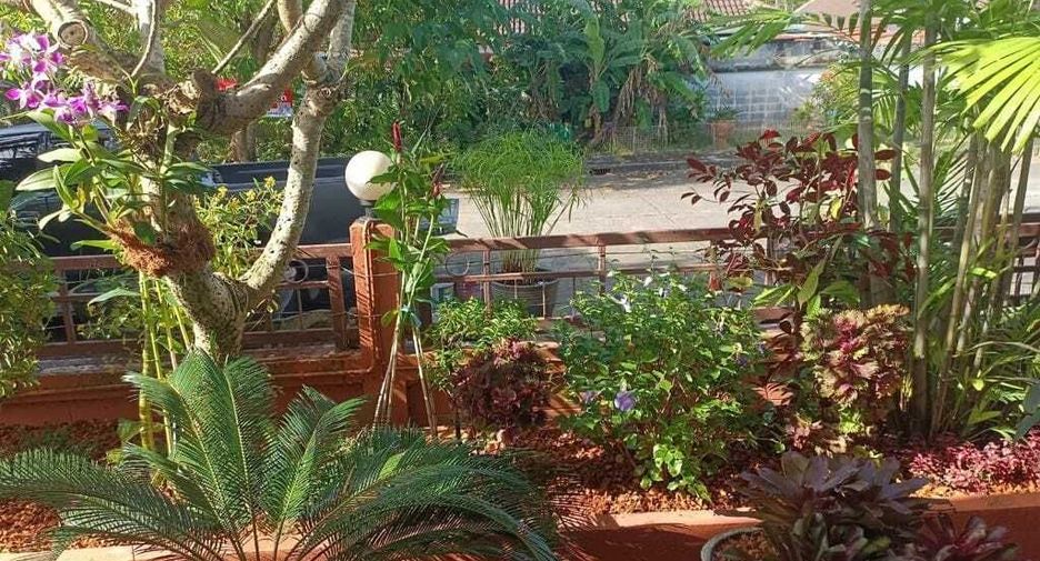 For sale and for rent 3 bedrooms house in Kathu, Phuket