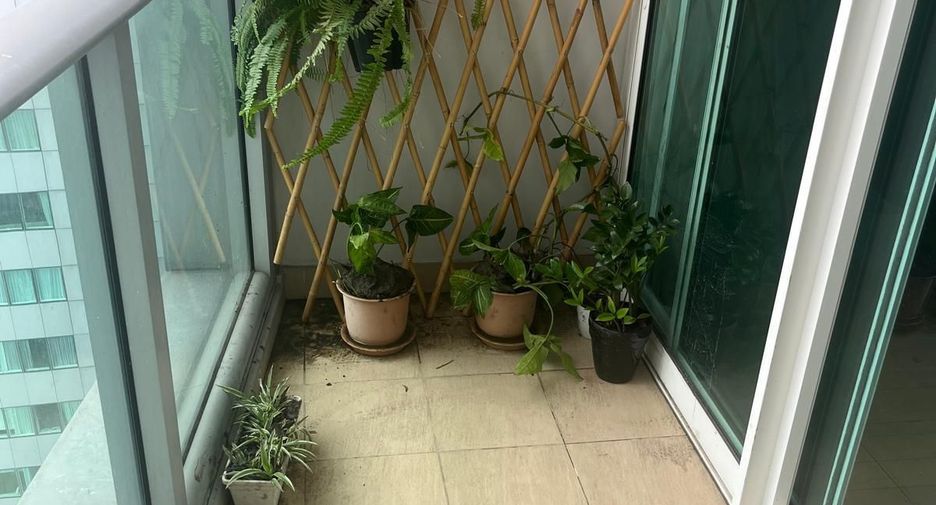For rent 3 bedrooms condo in Khlong Toei, Bangkok