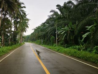 For sale land in Thai Mueang, Phang Nga