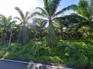 For sale land in Thai Mueang, Phang Nga