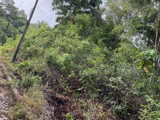 出售 土地 在 Phuket Town, 普吉