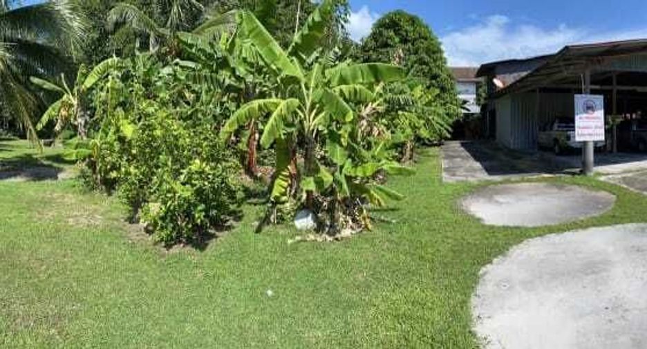For sale land in Mueang Phuket, Phuket