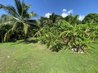 For sale land in Mueang Phuket, Phuket