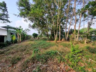 For sale land in Thalang, Phuket