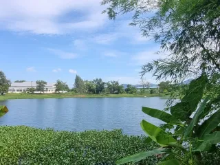 For sale land in Thalang, Phuket