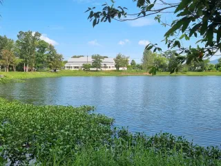 For sale land in Thalang, Phuket