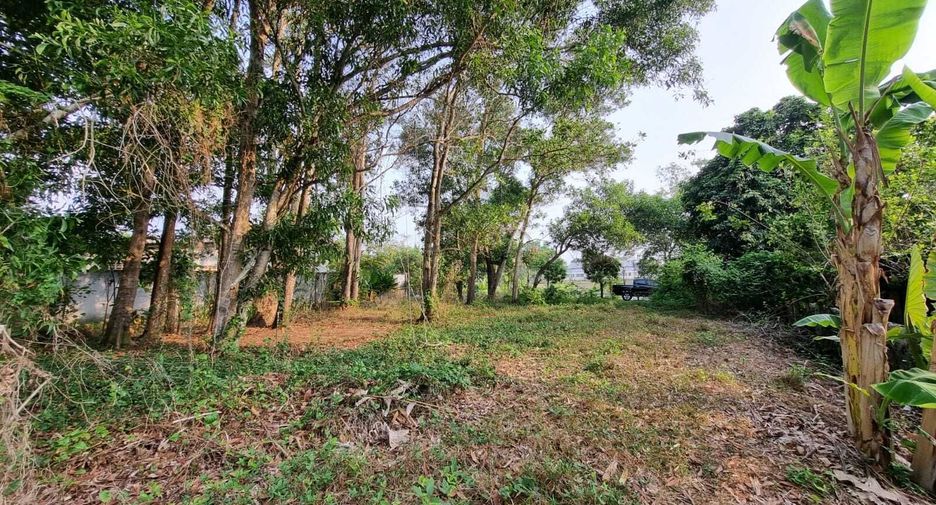 ขาย ที่ดิน ใน ถลาง, ภูเก็ต