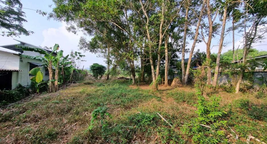 ขาย ที่ดิน ใน ถลาง, ภูเก็ต