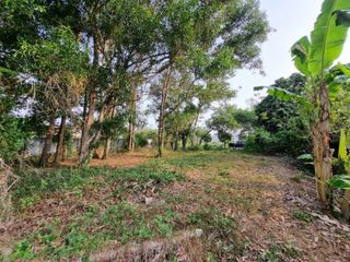 For sale land in Thalang, Phuket