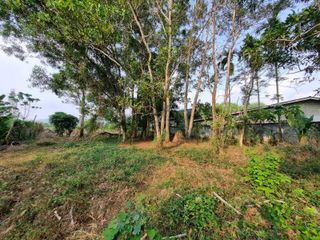 For sale land in Thalang, Phuket