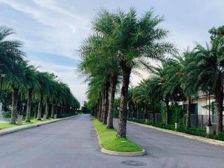 出售 5 卧室 独立屋 在 Taling Chan, 曼谷