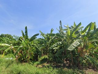 For sale land in Bang Khae, Bangkok