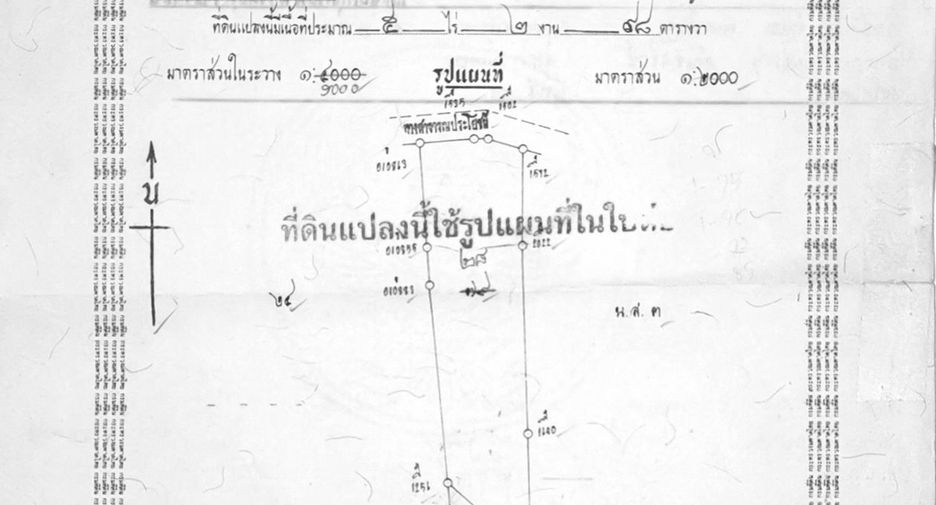 For sale land in Mueang Phuket, Phuket