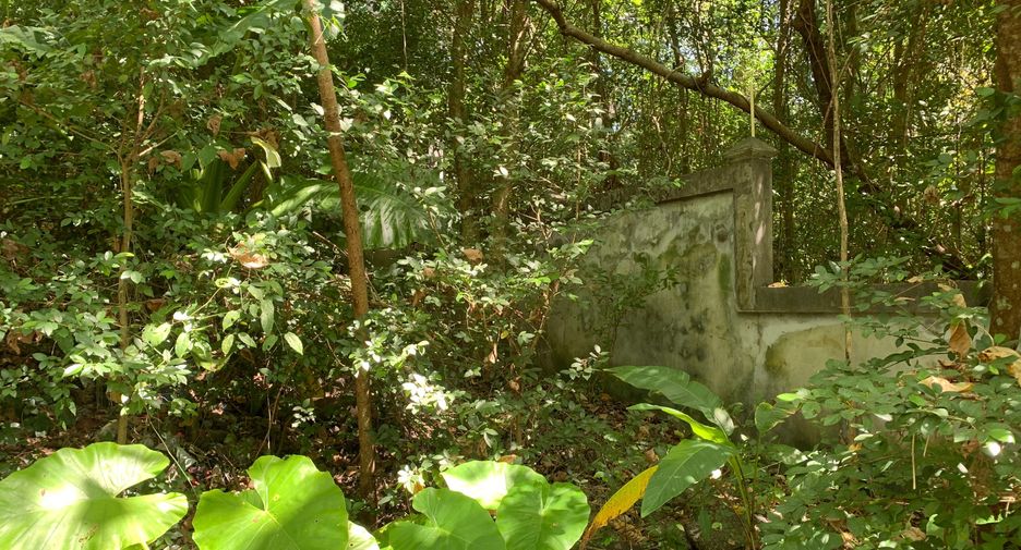 出售 土地 在 Kathu, 普吉