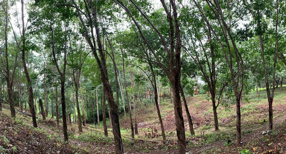 ขาย ที่ดิน ใน ถลาง, ภูเก็ต