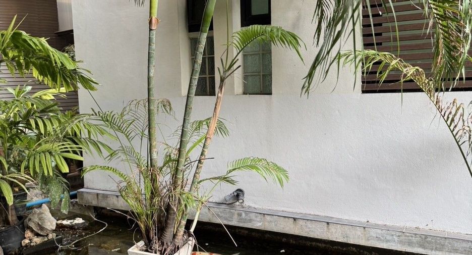 出租 3 卧室 独立屋 在 Khlong Toei, 曼谷