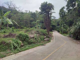 ขาย ที่ดิน ใน เมืองภูเก็ต, ภูเก็ต