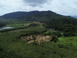 ขาย ที่ดิน ใน ถลาง, ภูเก็ต