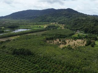 ขาย ที่ดิน ใน ถลาง, ภูเก็ต