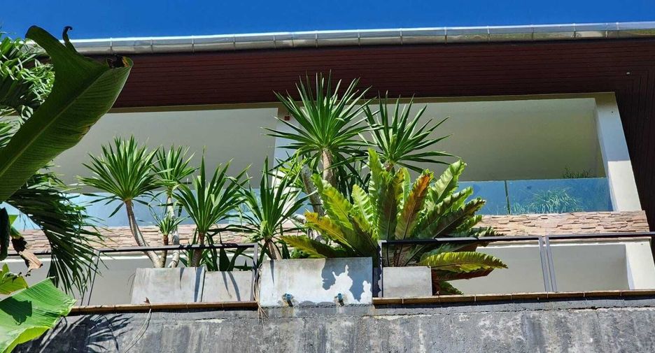 For sale 3 bedrooms house in Thalang, Phuket