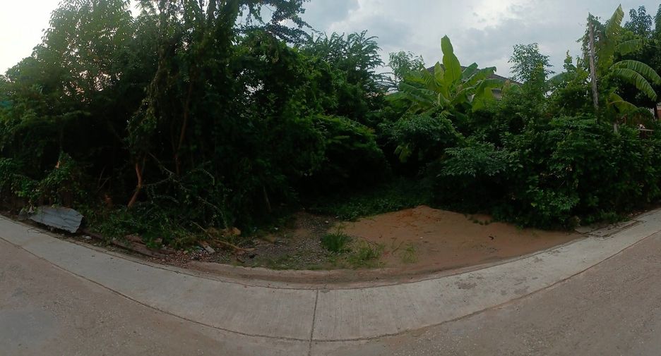For sale land in Wang Thonglang, Bangkok