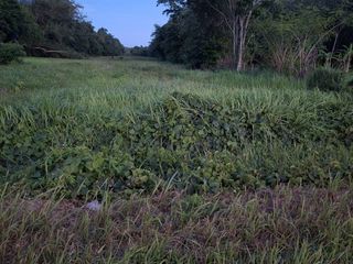For sale land in Thalang, Phuket