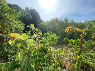 出售 土地 在 Phuket Town, 普吉