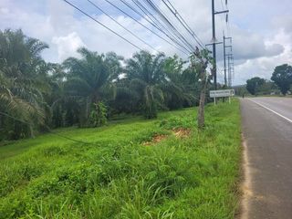 ขาย ที่ดิน ใน ตะกั่วทุ่ง, พังงา