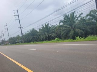 ขาย ที่ดิน ใน ตะกั่วทุ่ง, พังงา