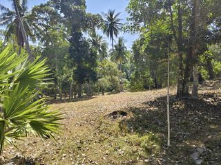 For sale land in Mueang Phuket, Phuket