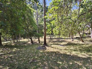 For sale land in Mueang Phuket, Phuket