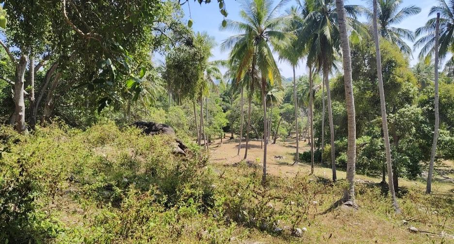 Grundstück zum Kauf in Mueang Phuket, Phuket
