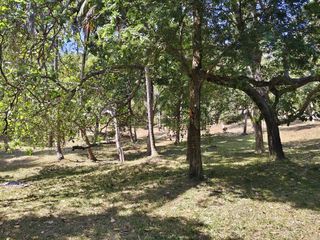 For sale land in Mueang Phuket, Phuket