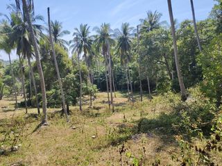 For sale land in Mueang Phuket, Phuket
