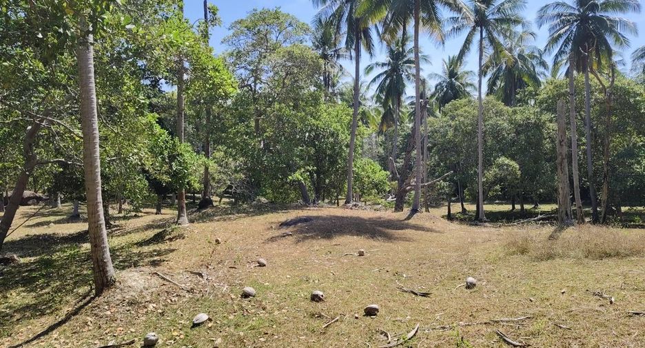 Grundstück zum Kauf in Mueang Phuket, Phuket