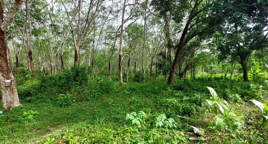For sale land in Mueang Phuket, Phuket