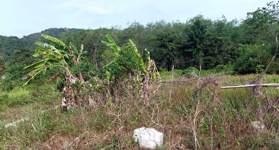 For sale land in Mueang Phuket, Phuket