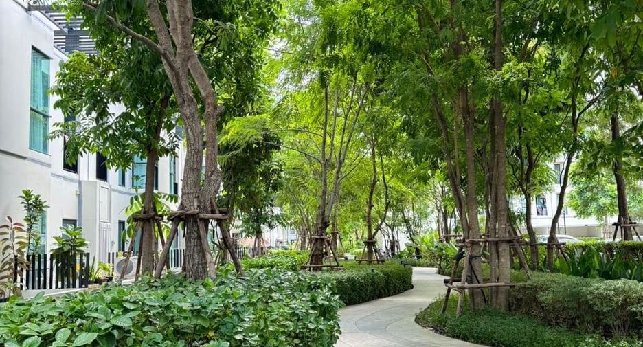 For rent 1 bed condo in Mueang Samut Prakan, Samut Prakan