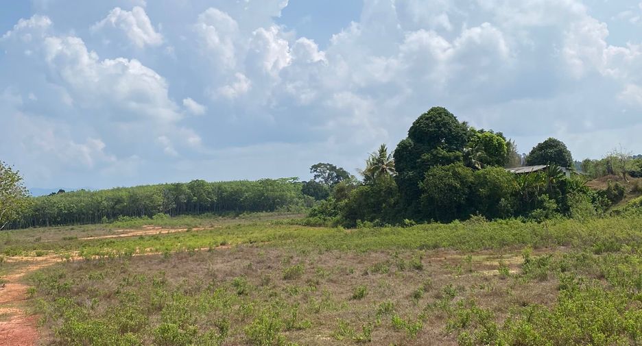 For sale land in Takua Thung, Phang Nga