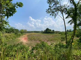 For sale land in Takua Thung, Phang Nga