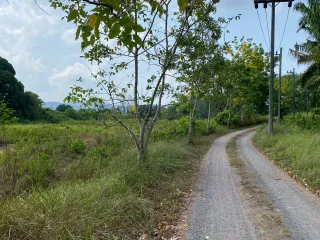 For sale land in Takua Thung, Phang Nga