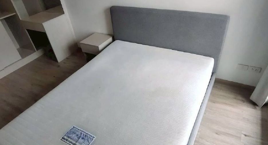 Wohnung zur Miete mit 1 Zimmer in Phra Khanong, Bangkok