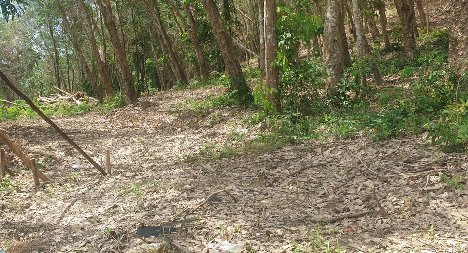 For sale land in Mueang Phuket, Phuket