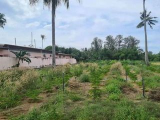 Terreno en venta en Thalang, Phuket