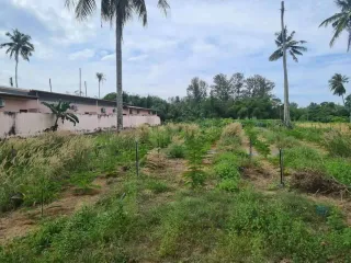 For sale land in Thalang, Phuket