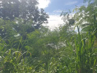 Продажа Участок в Пхукет Тощн, Пхукет