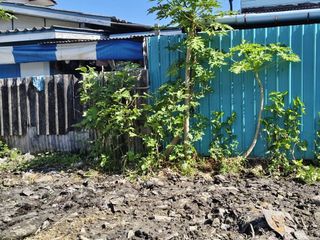For sale land in Mueang Samut Prakan, Samut Prakan